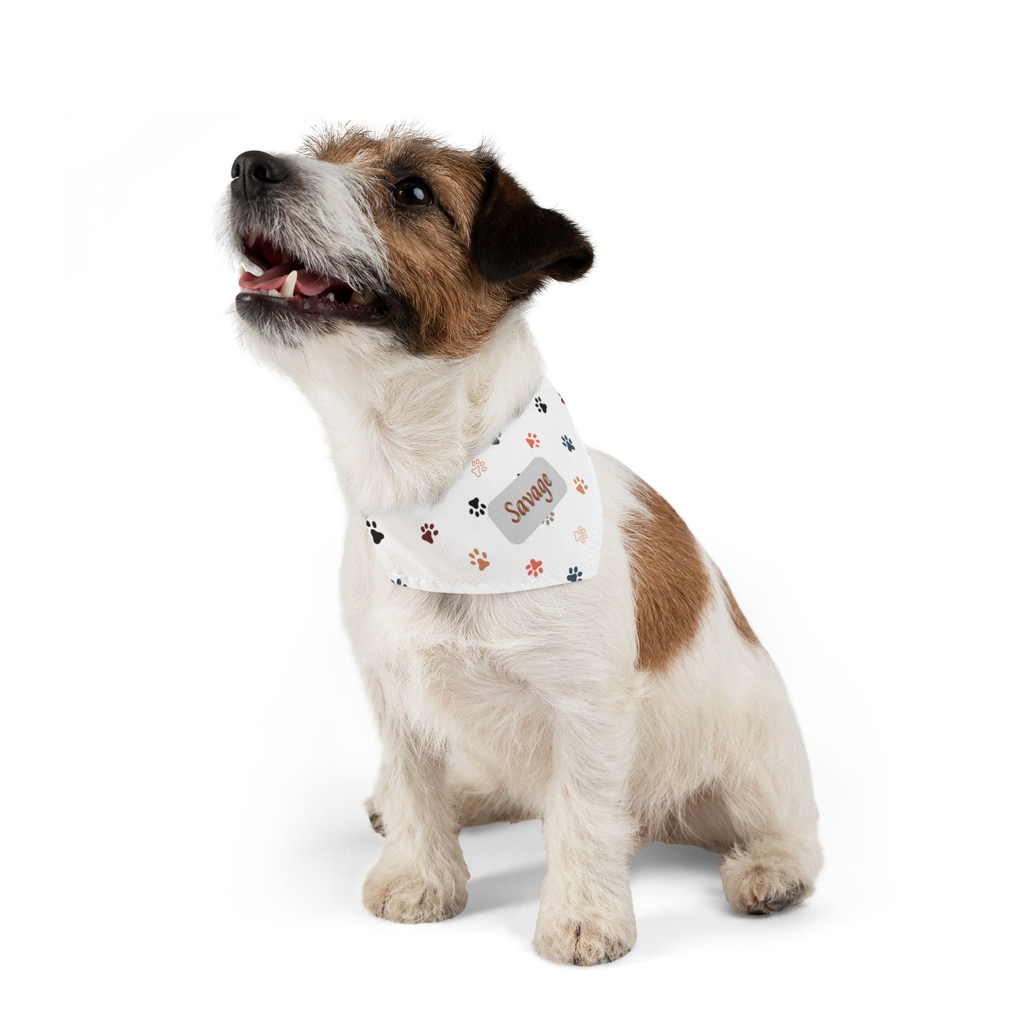 Savage Pet Bandana Collar