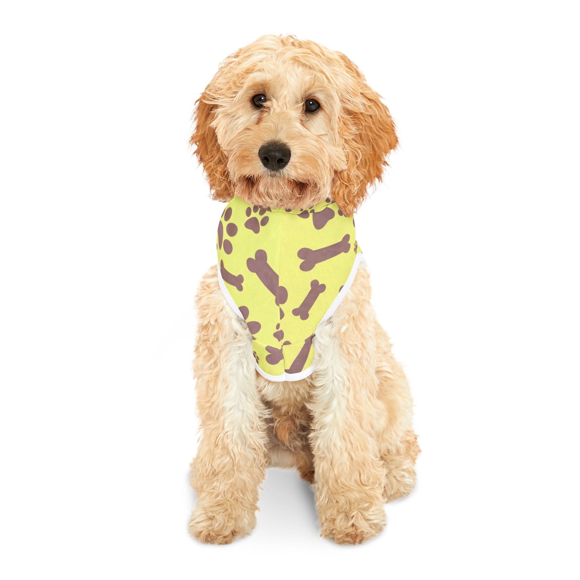 Colorful 'Tiny Cute BFF' Pet Hoodie for Dogs