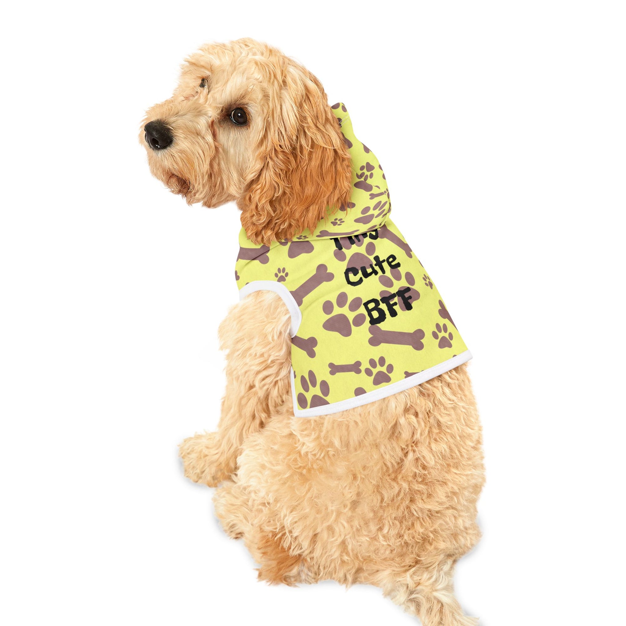 Colorful 'Tiny Cute BFF' Pet Hoodie for Dogs