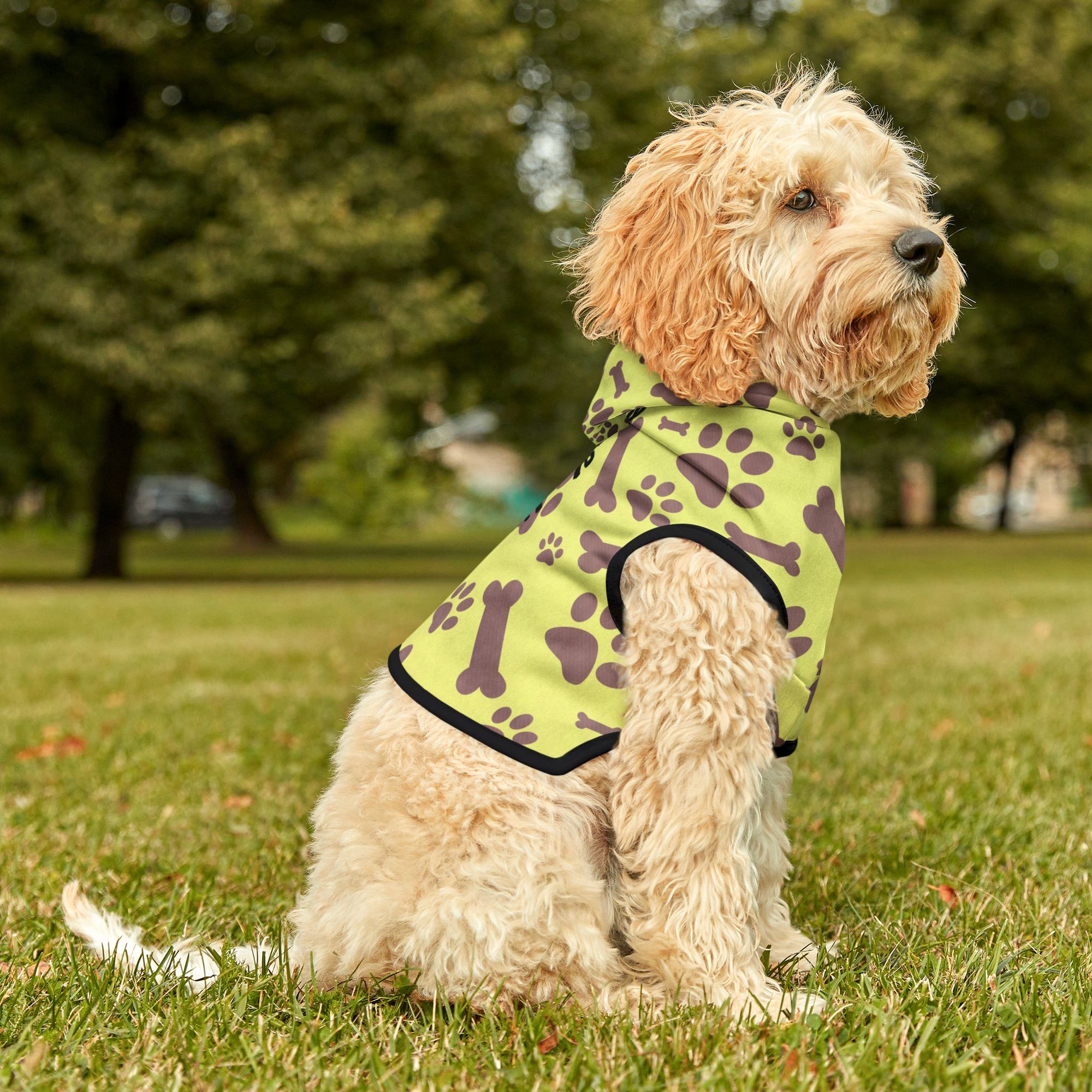 Colorful 'Tiny Cute BFF' Pet Hoodie for Dogs