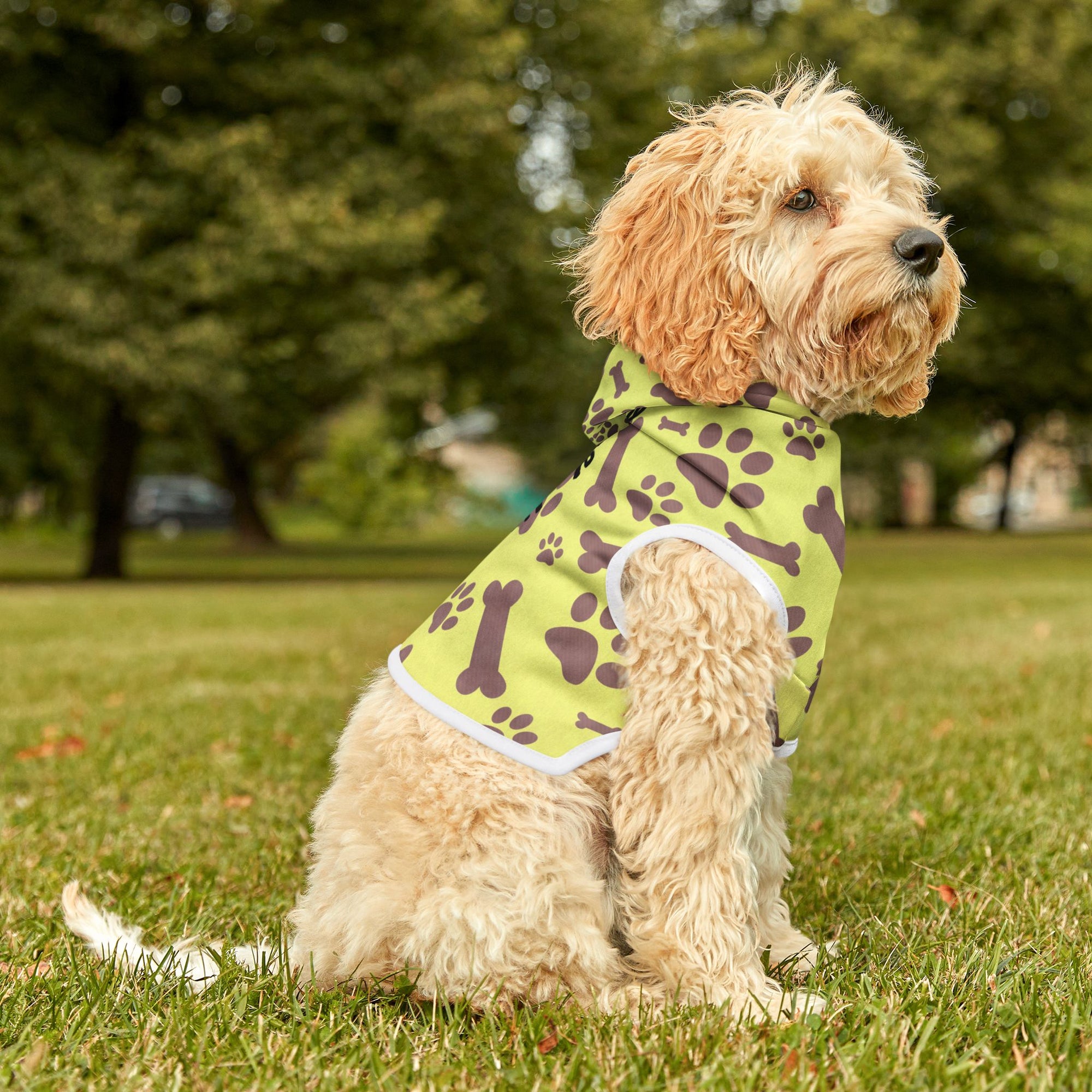 Colorful 'Tiny Cute BFF' Pet Hoodie for Dogs