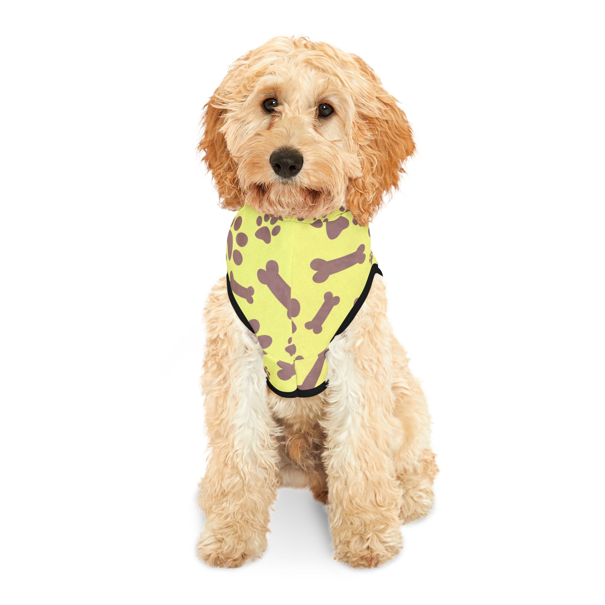 Colorful 'Tiny Cute BFF' Pet Hoodie for Dogs