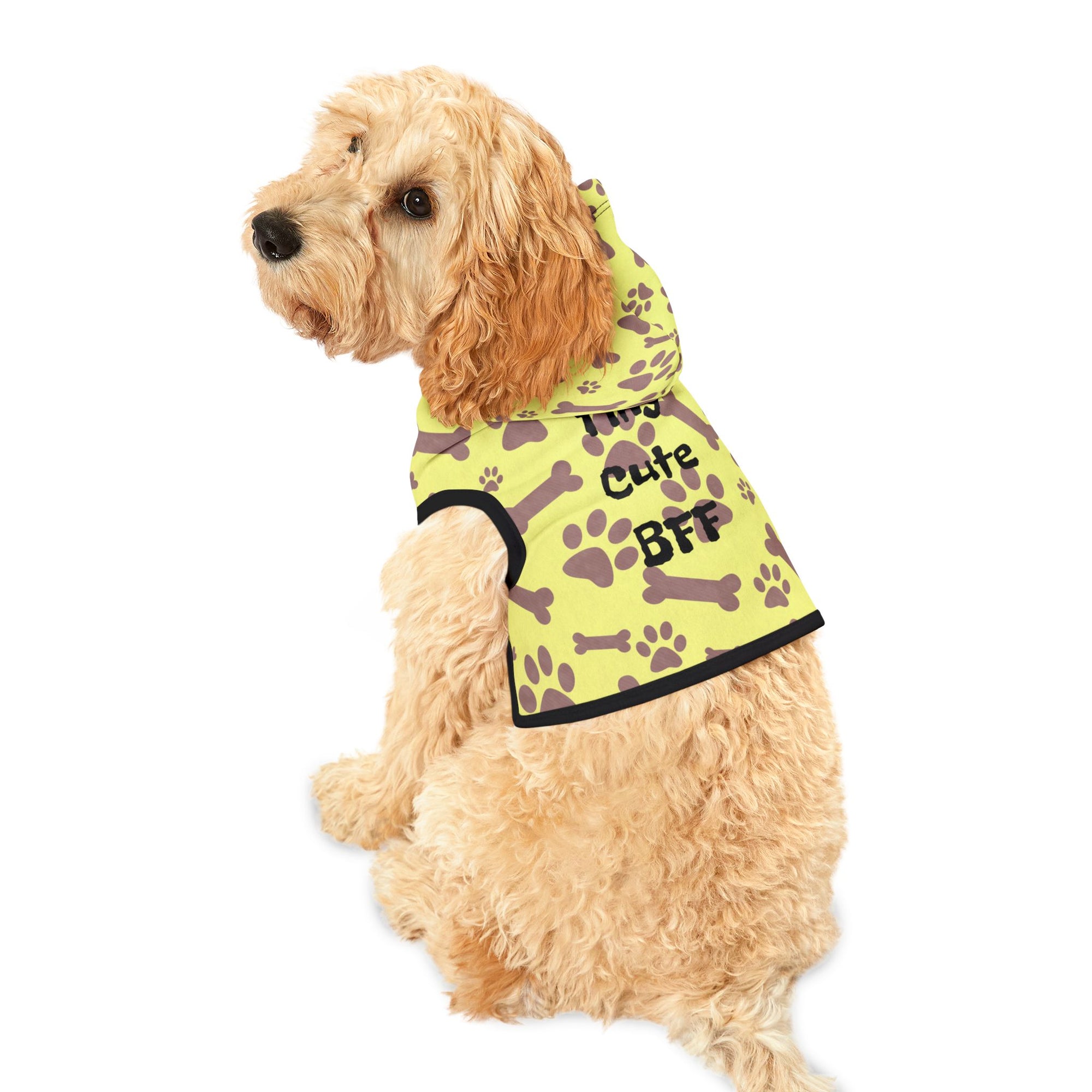 Colorful 'Tiny Cute BFF' Pet Hoodie for Dogs