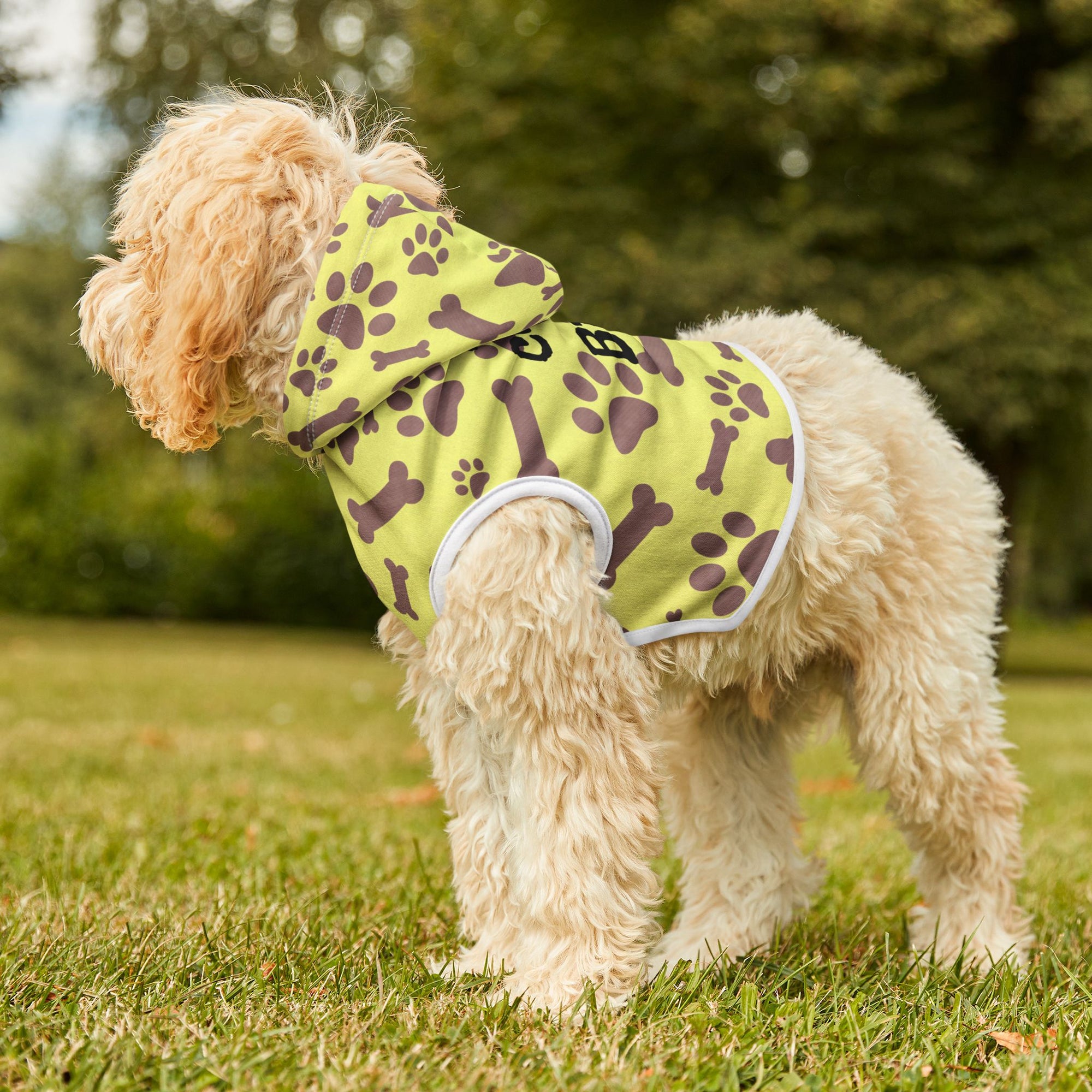 Colorful 'Tiny Cute BFF' Pet Hoodie for Dogs