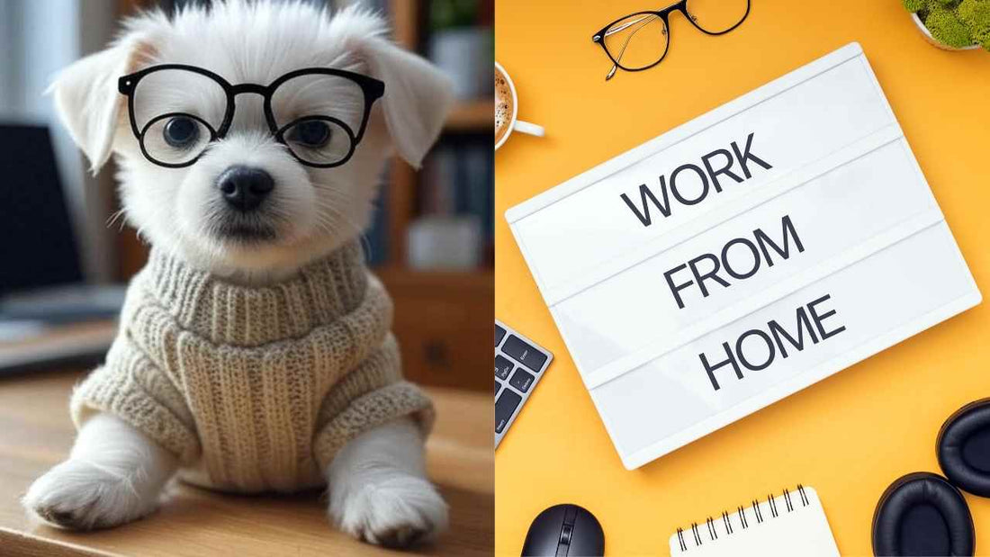 TinyCuteDogs Cutest Work-from-Home Accessories