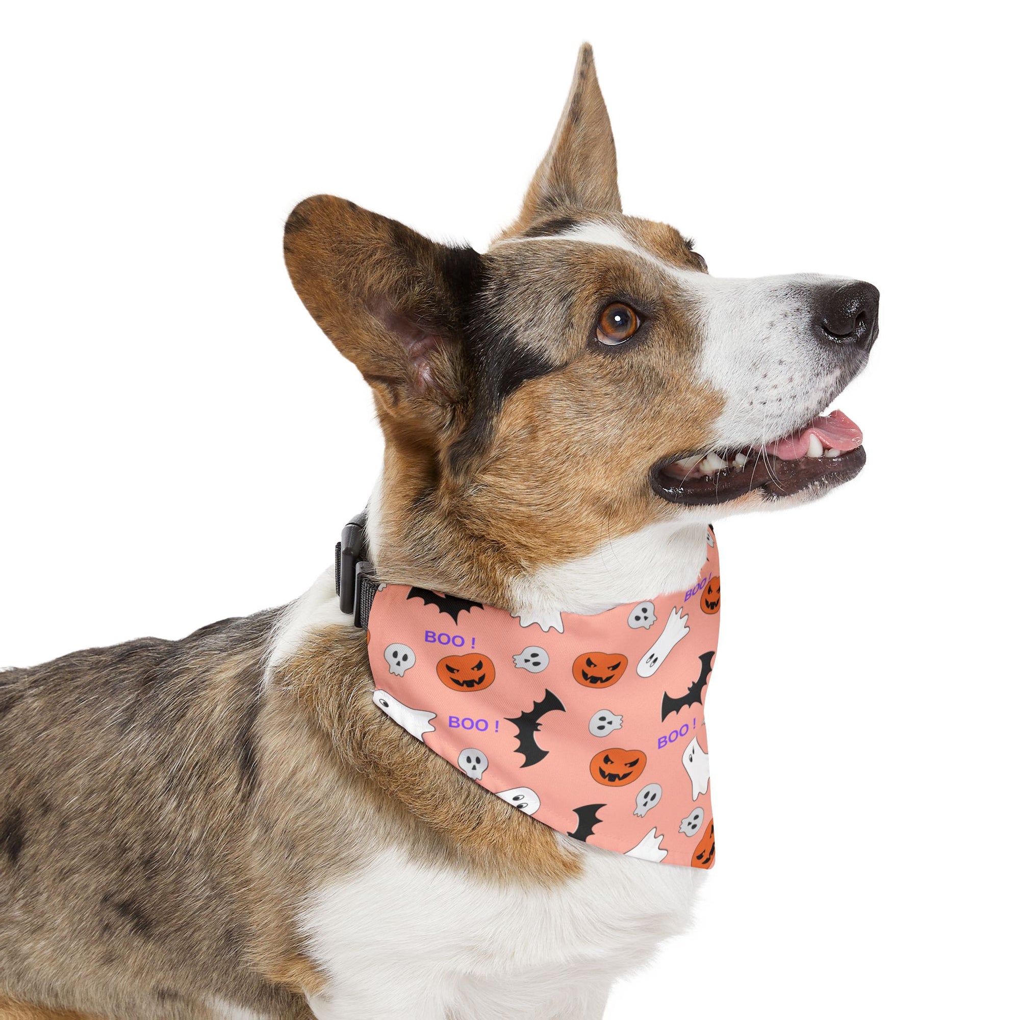 Halloween Pet Bandana Collar