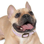 Charming Pet Collar with Paw Print Design