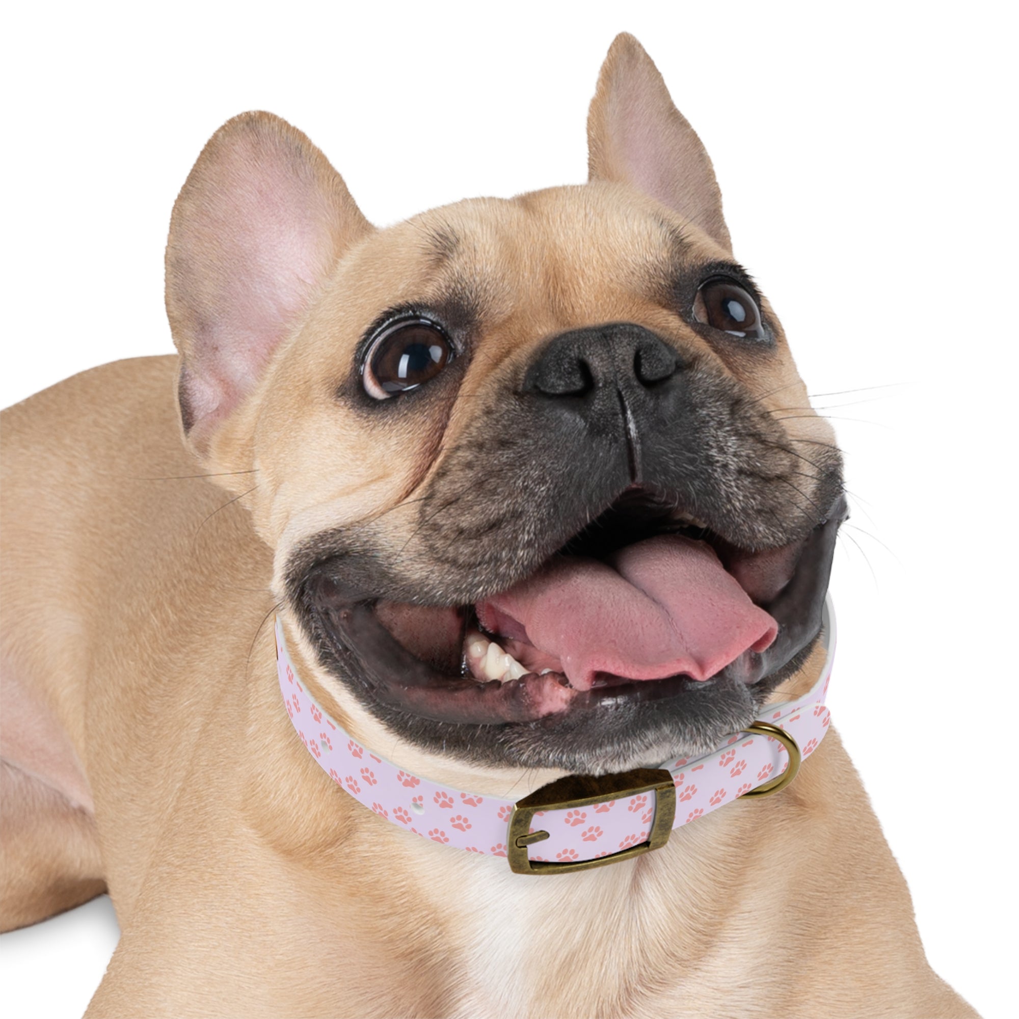 Charming Pet Collar with Paw Print Design