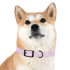 Charming Pet Collar with Paw Print Design