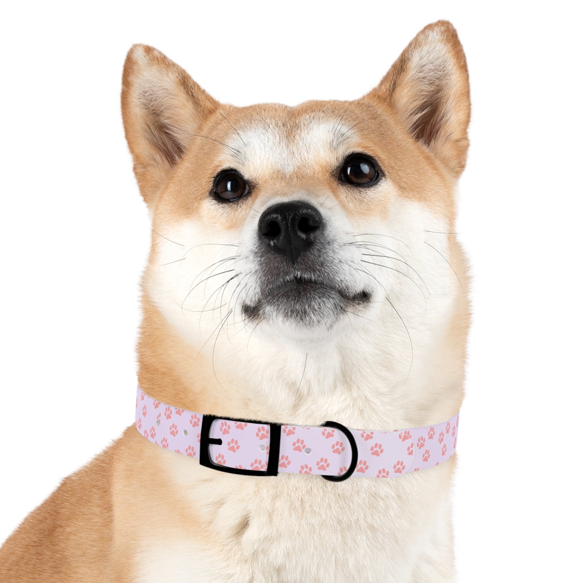 Charming Pet Collar with Paw Print Design