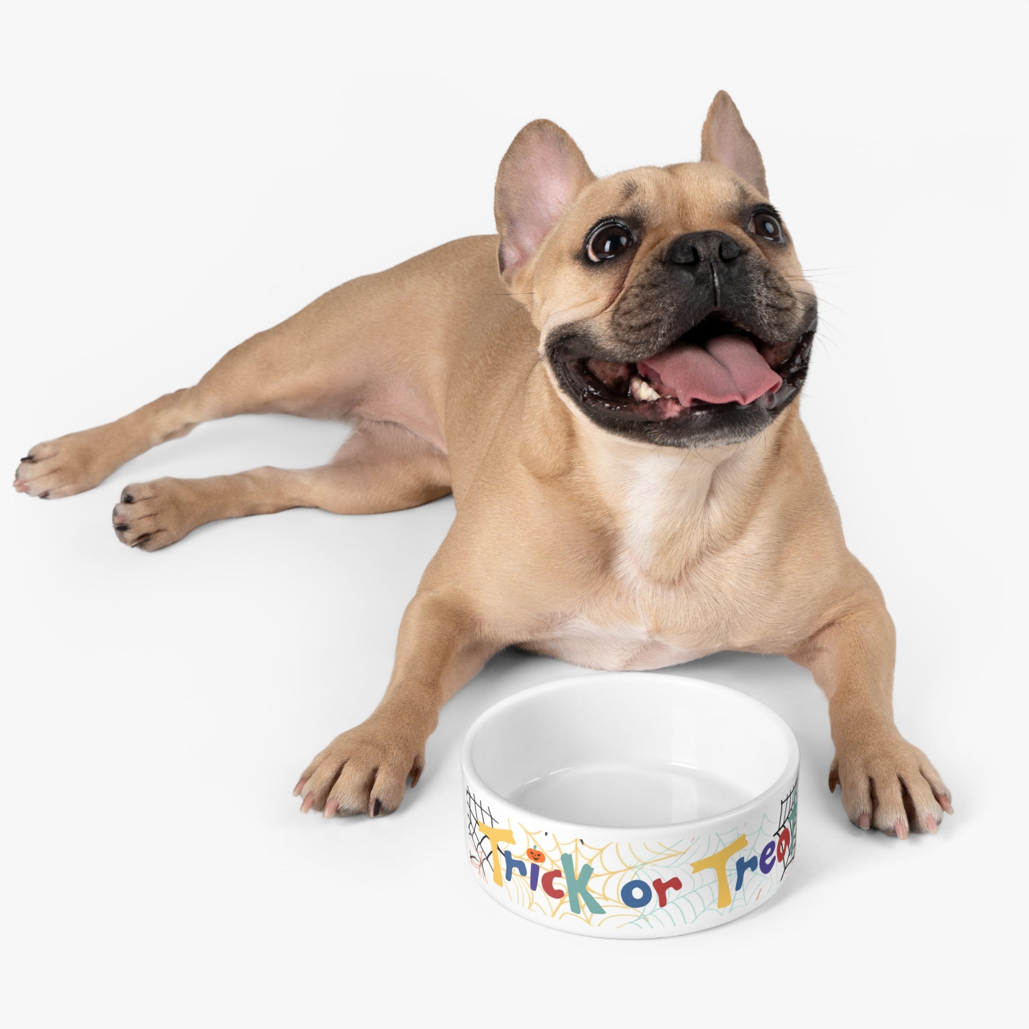Pet Bowl - Halloween