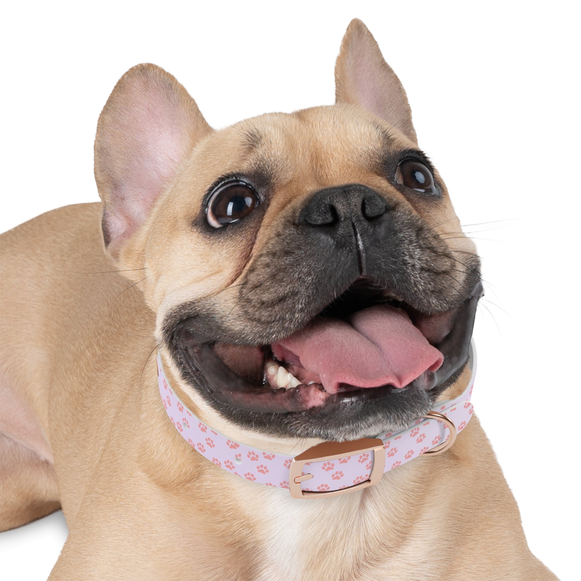 Charming Pet Collar with Paw Print Design