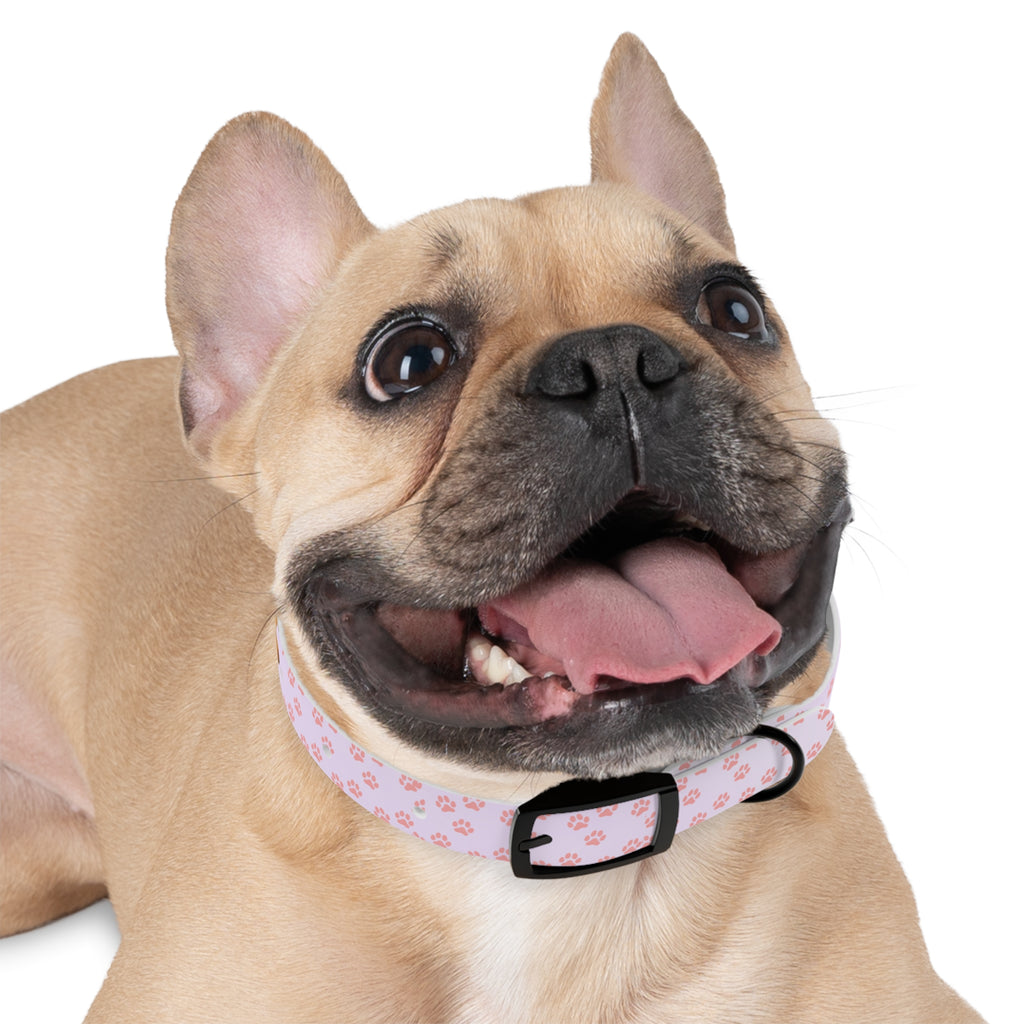 Charming Pet Collar with Paw Print Design