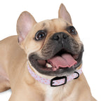 Charming Pet Collar with Paw Print Design