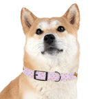 Charming Pet Collar with Paw Print Design