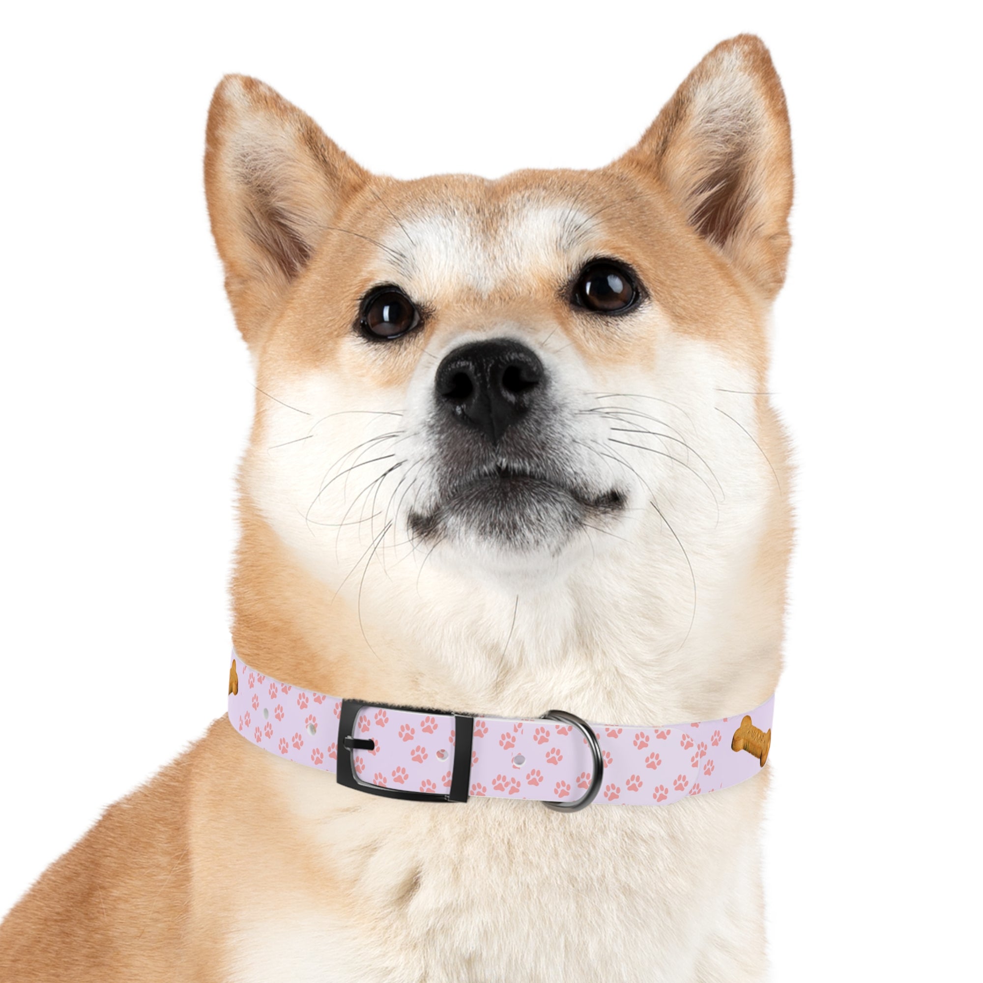 Charming Pet Collar with Paw Print Design