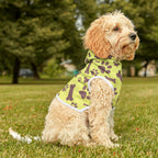 Colorful 'Tiny Cute BFF' Pet Hoodie for Dogs