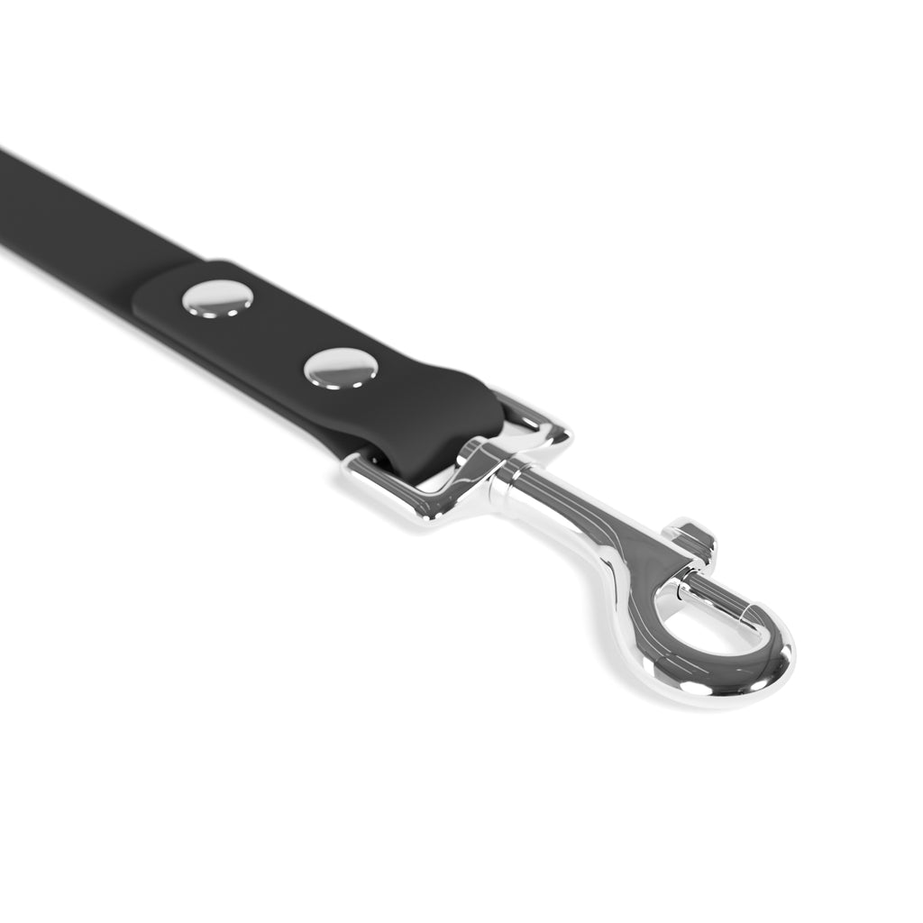Stylish Pet Leash for Dog Lovers