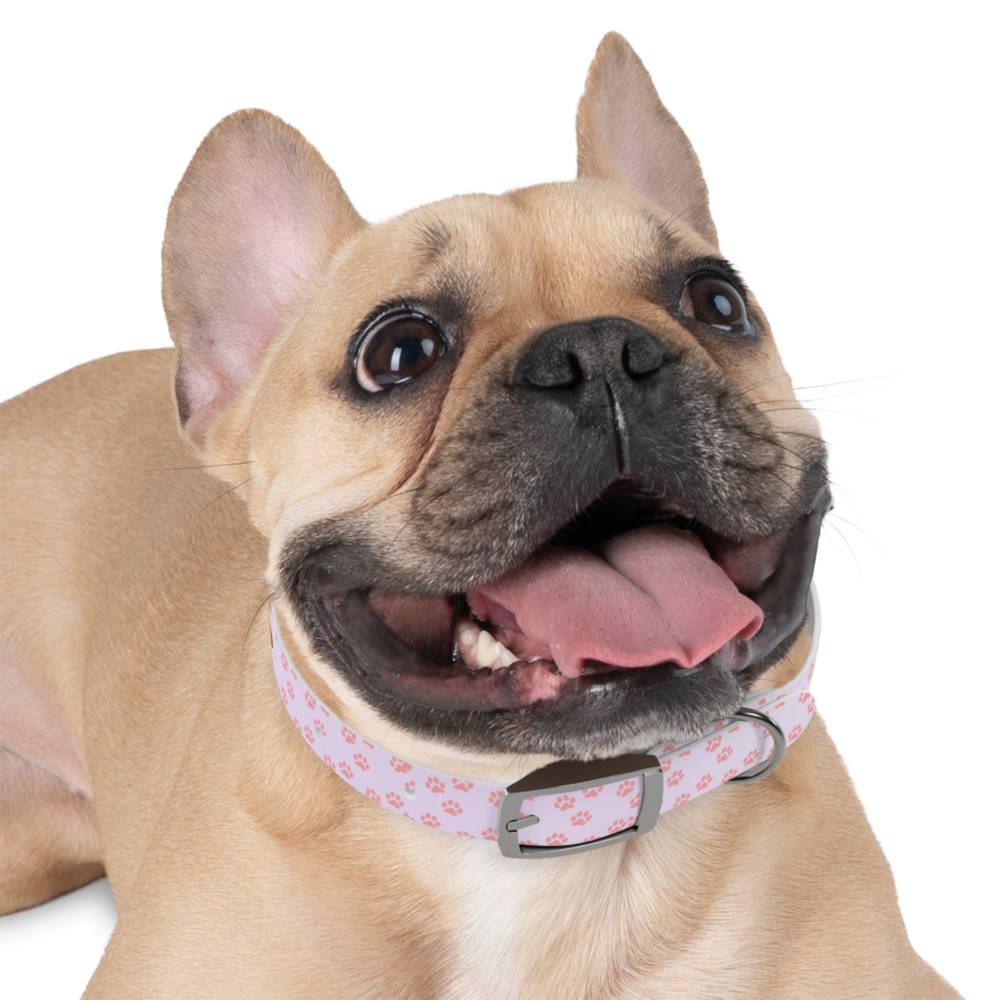 Charming Pet Collar with Paw Print Design