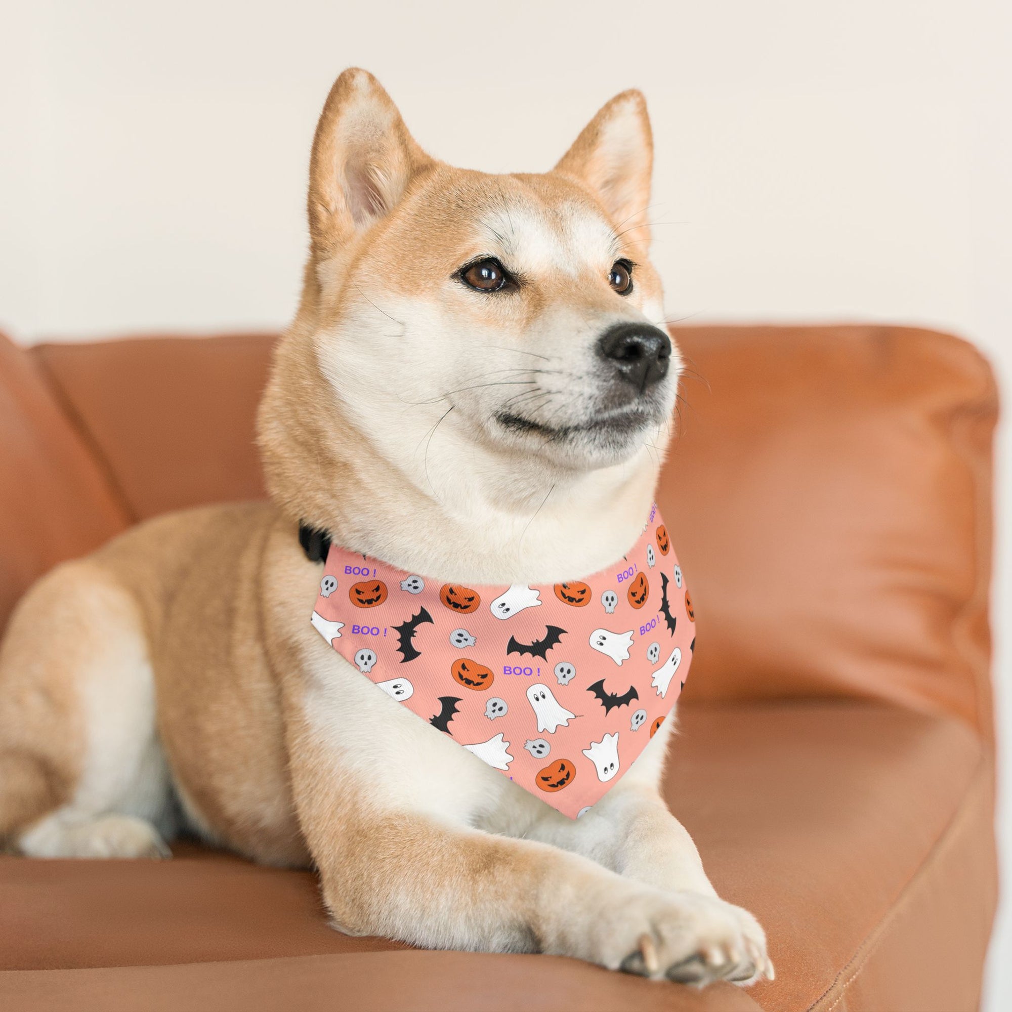 Halloween Pet Bandana Collar