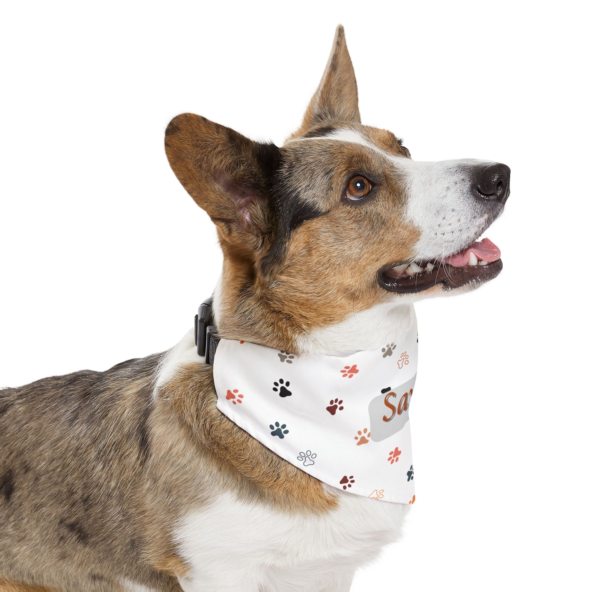 Savage Pet Bandana Collar