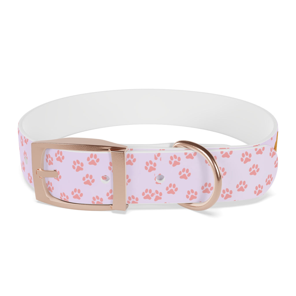 Charming Pet Collar with Paw Print Design