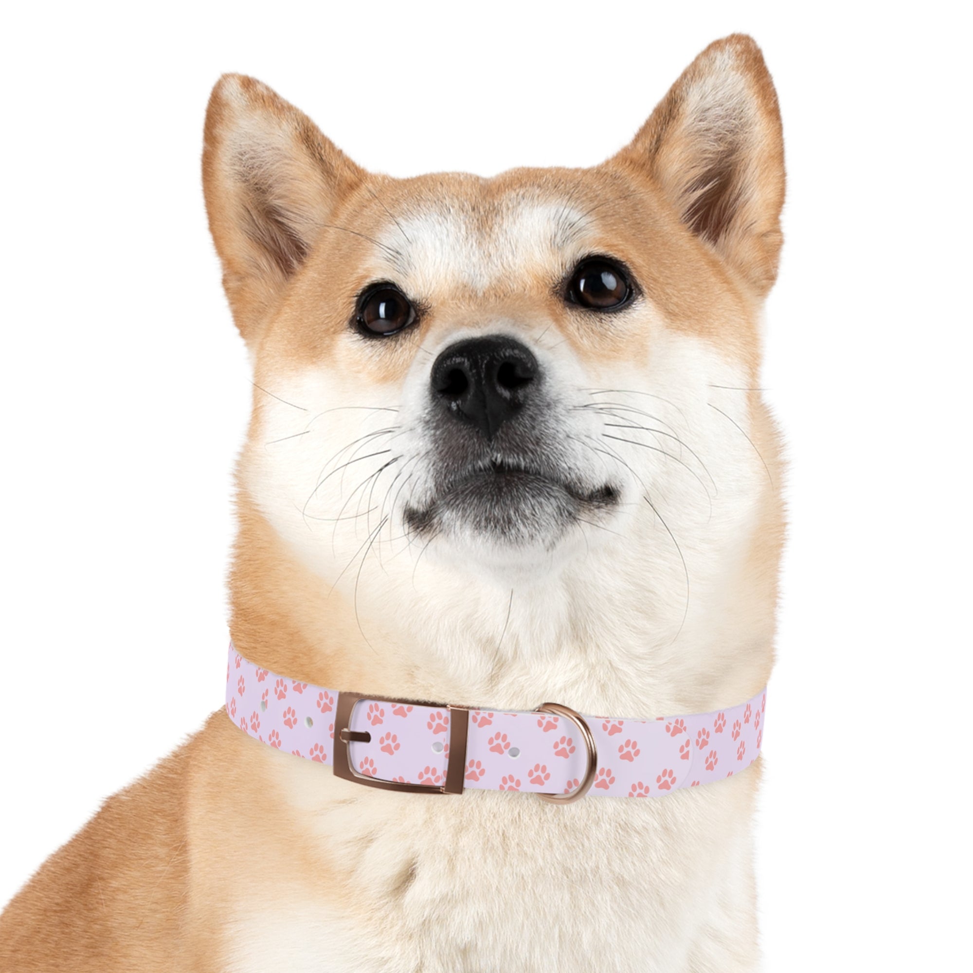 Charming Pet Collar with Paw Print Design