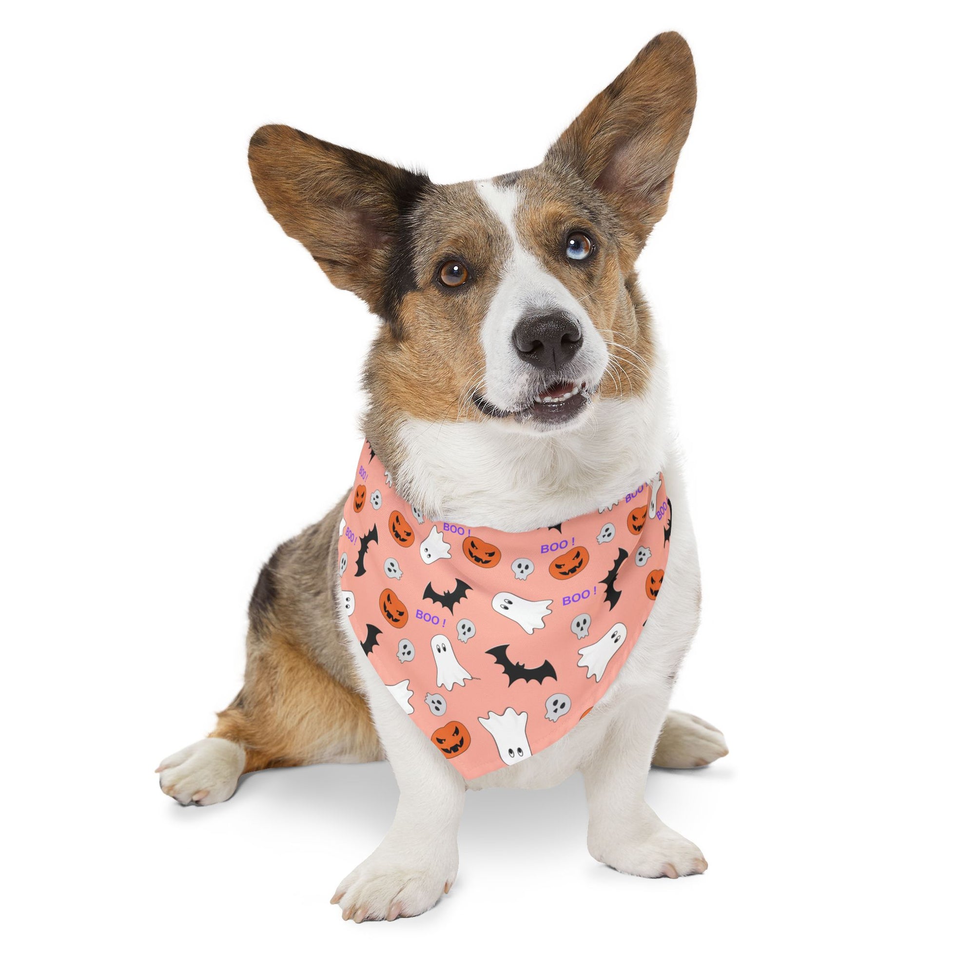 Halloween Pet Bandana Collar