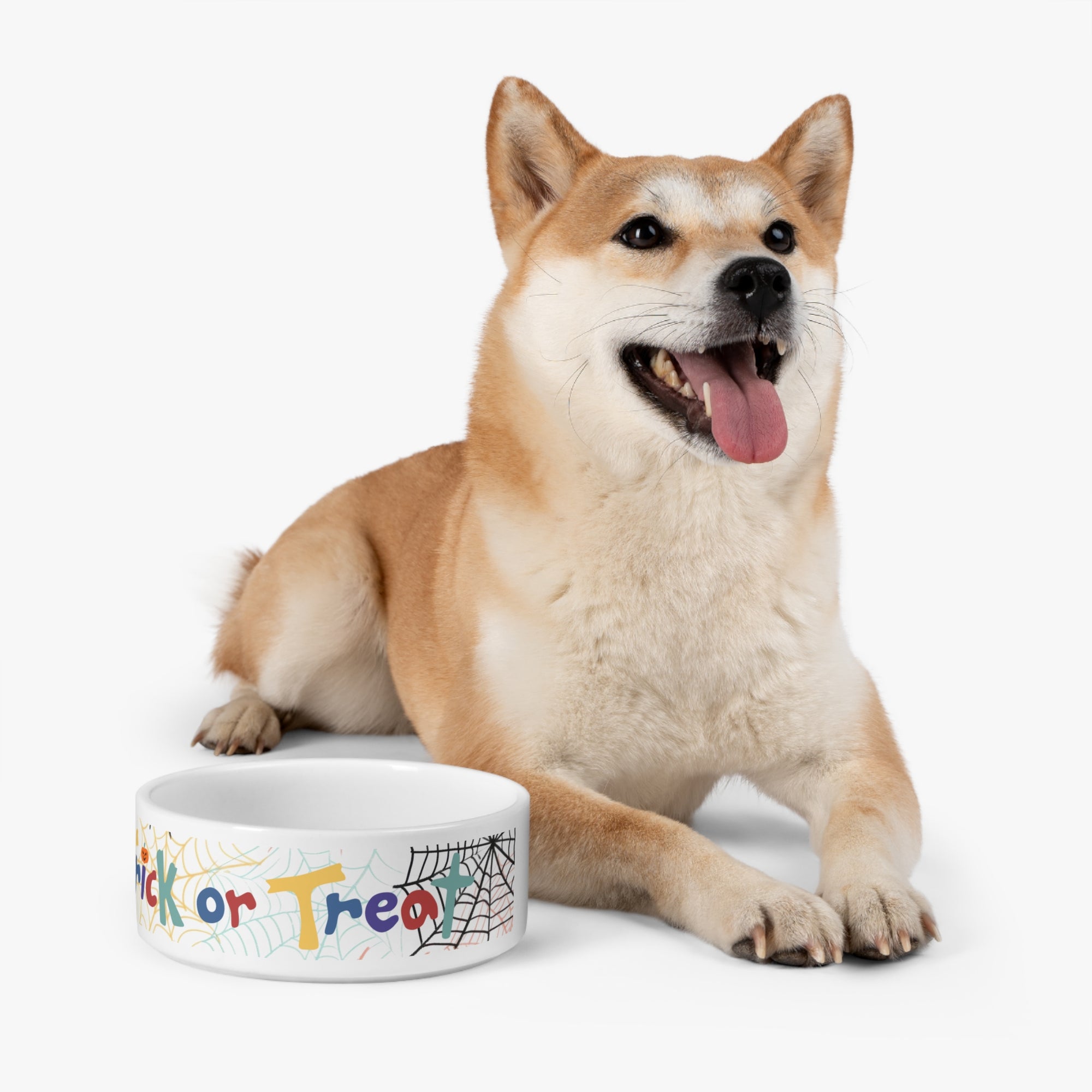 Pet Bowl - Halloween