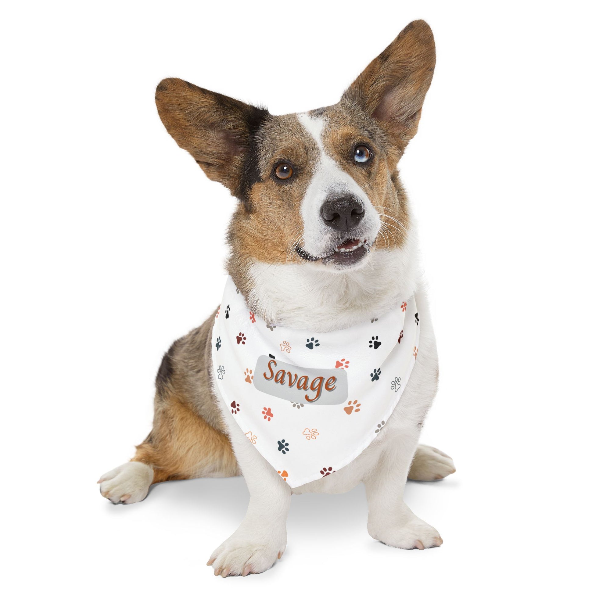 Savage Pet Bandana Collar